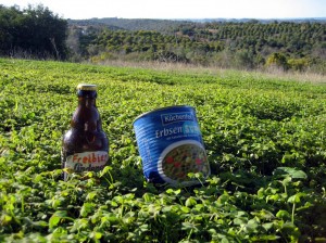 071217quinta-da-figuerinha-portugal