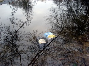 080112wasser