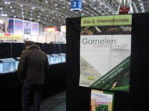 2-internationales-garnelenchampionat
