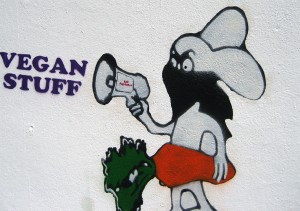 Vegan Stuff