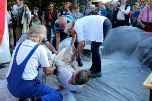 Gipsperformance Wohnungslosigkeit-Quelle Veenhoven