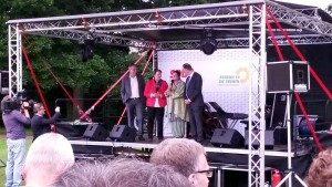 rotgrünes sommerfest