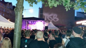 abstürzende brieftauben