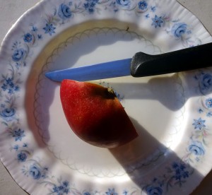 Hartz-IV Erhöhung 5 € - Ein Drittel Apfel am Tag mehr