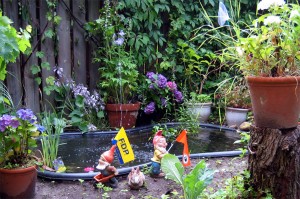 mit fontäne und beleuchtung und abends disco