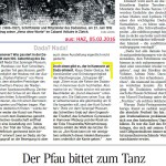 160205HAZ 100 Jahre Dada