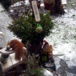 in diesem haus saufen sogar die eichhörnchen