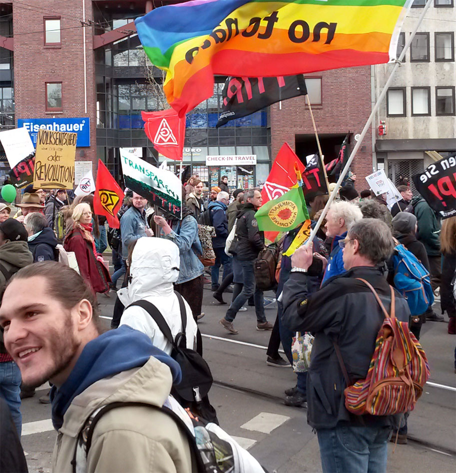 volksentscheid oder revolution