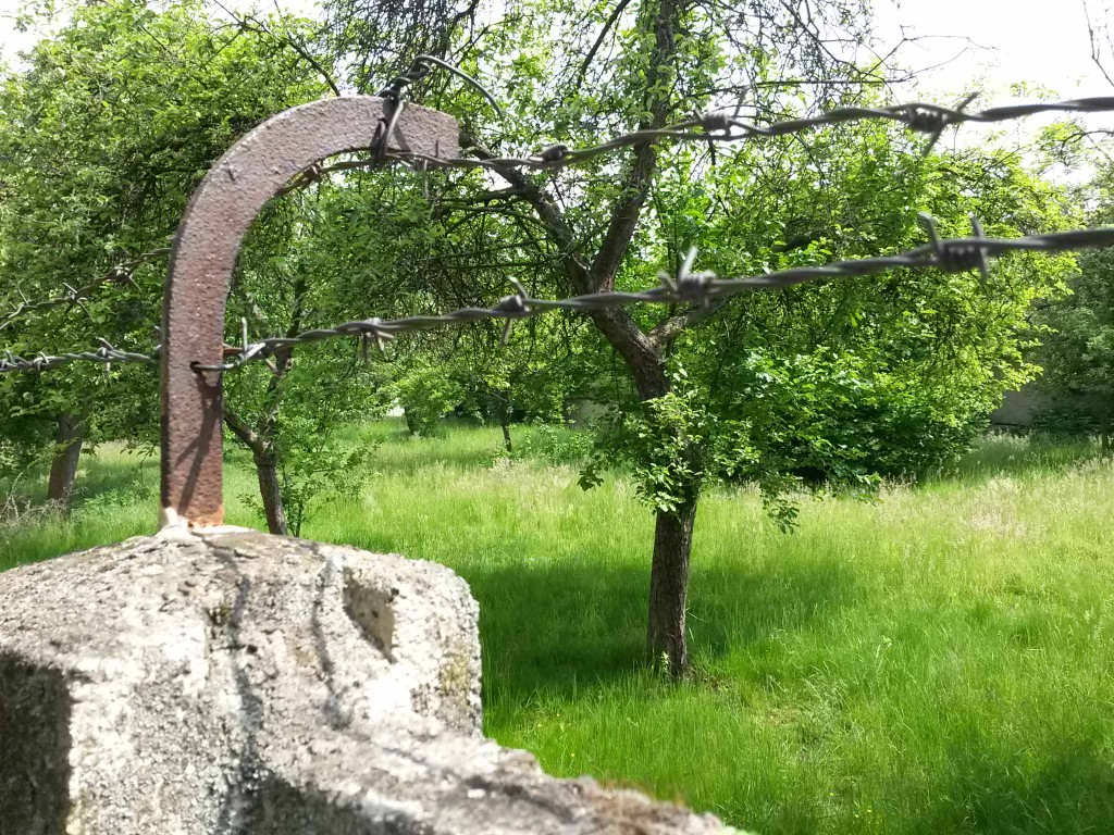 20160527_144436 Kopie