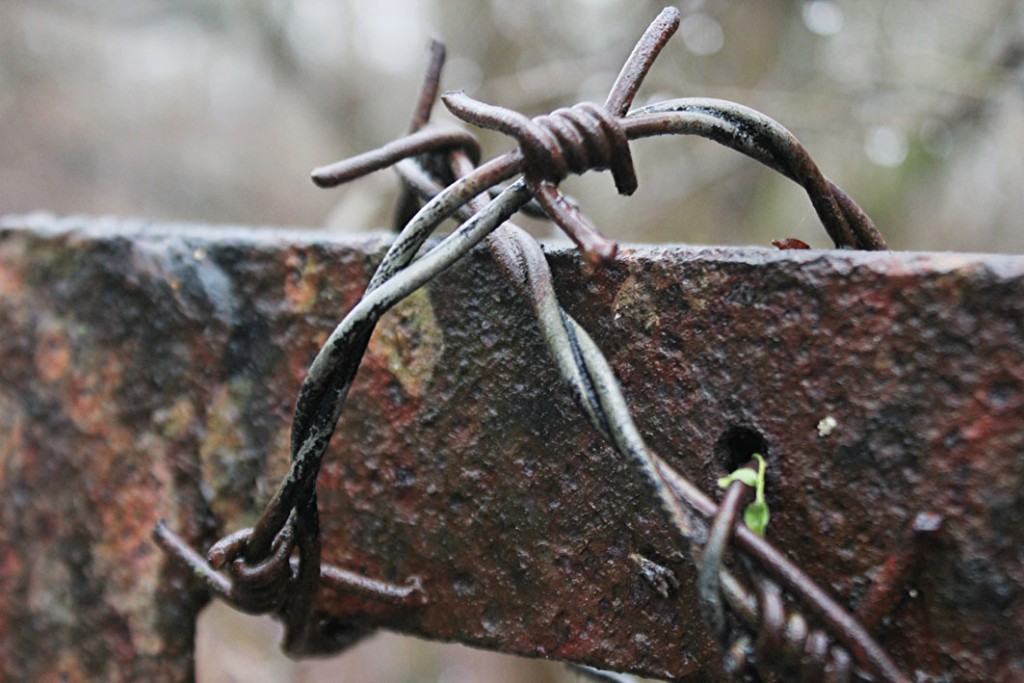 NETZ 4_Seite 1_Quelle Achim Beinsen Kopie