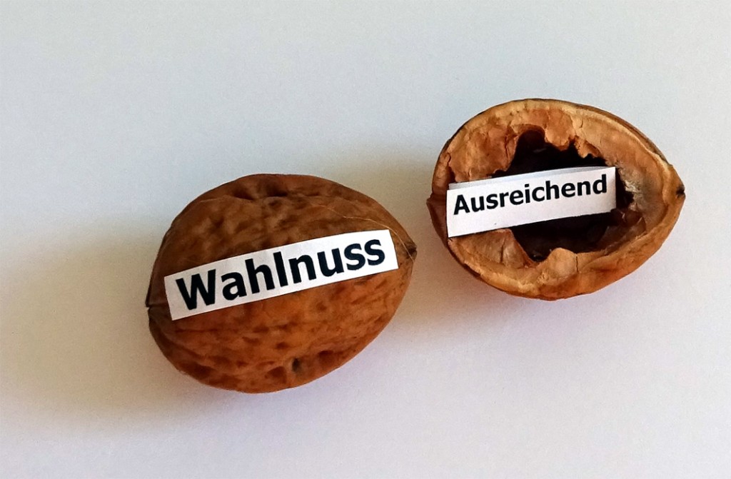 Wahlnuss