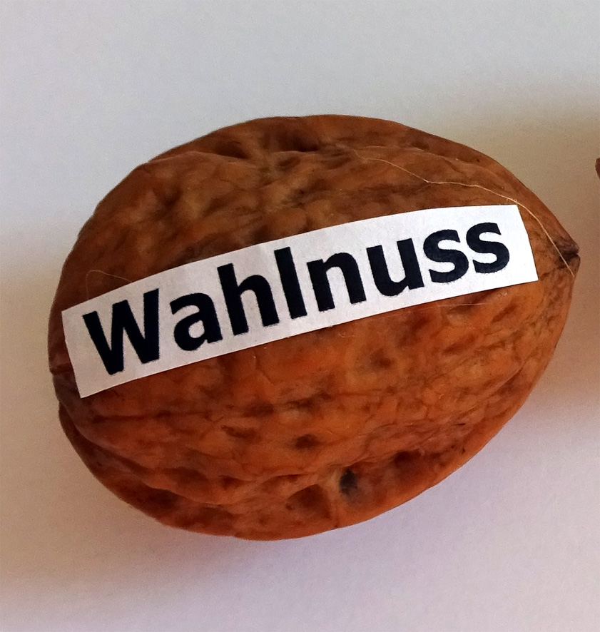 Wa(h)lnuss