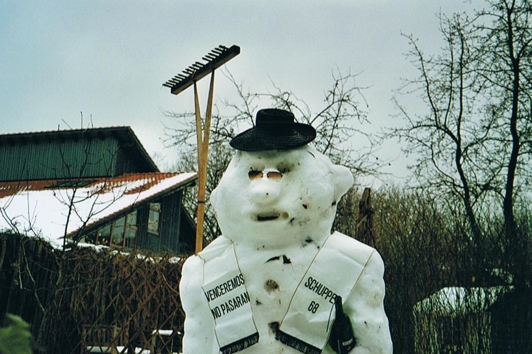 Bild (14)