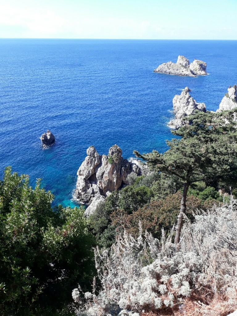 20170925_120836_resized