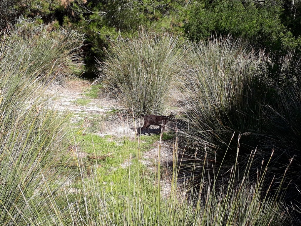 20171025_133538_resized