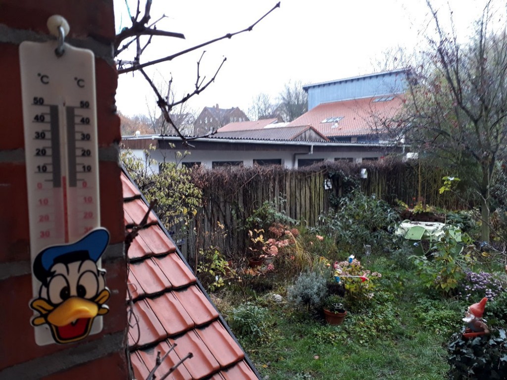 20171125_095315_resized