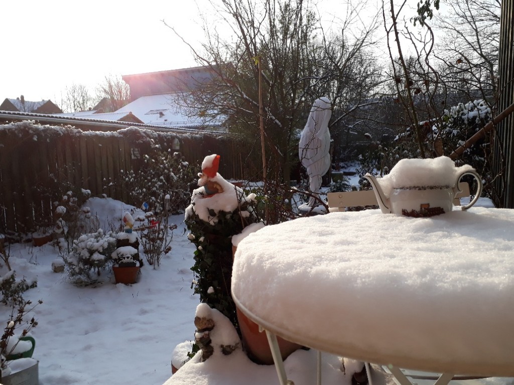 20180228_085421_resized